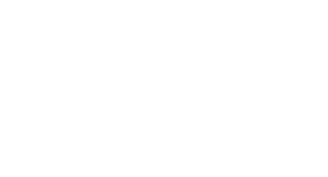 Peresvet Store